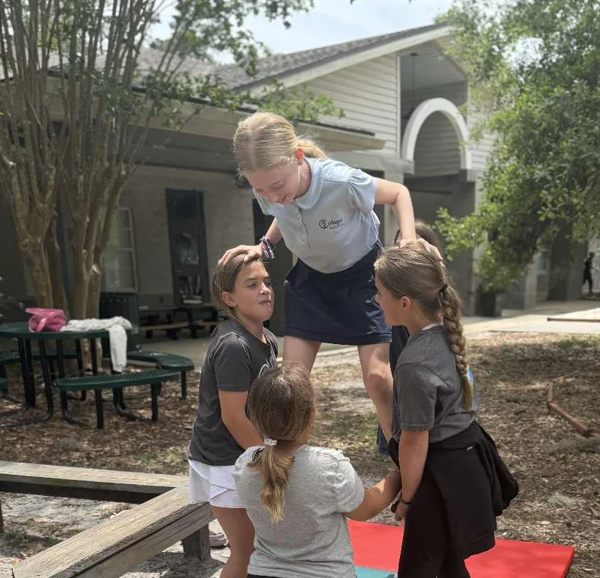 Enrichment opportunities