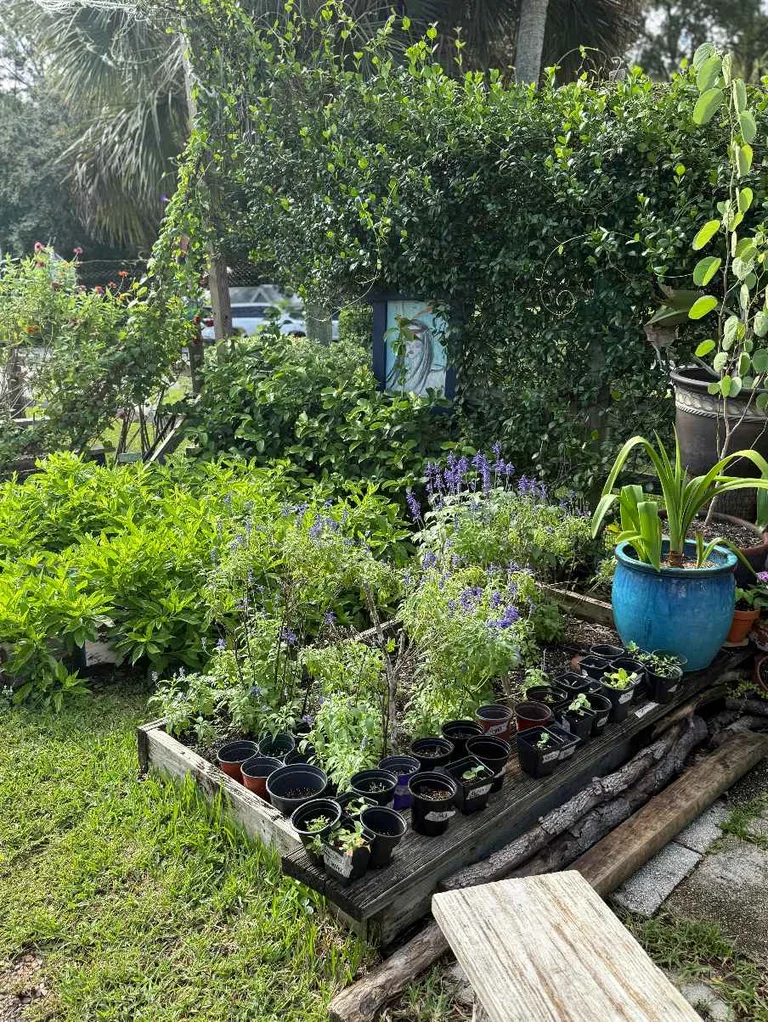 Horticulture 