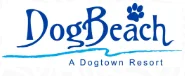 Dog Beach