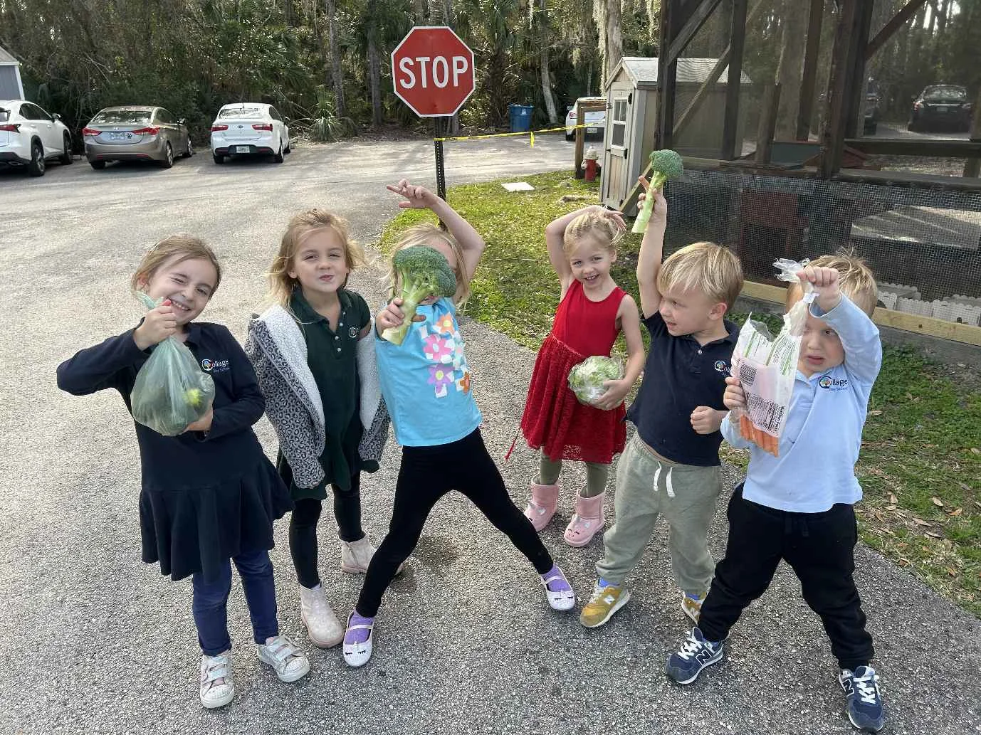Summer Camps 4